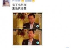 武汉爆料视频完整版,揭秘疫情真相与防控挑战