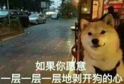大爆料真实故事视频,真实故事背后的惊人真相