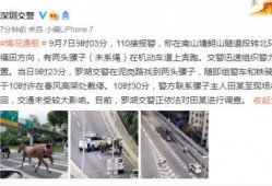 今日深圳爆料,揭秘城市热点事件背后的真相