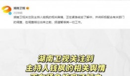 娱乐圈吃瓜词汇,揭秘明星幕后风云