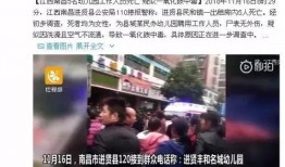南昌黑虎爆料视频大全集,揭秘事件真相与幕后黑幕
