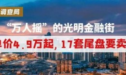今日深圳爆料,揭秘城市热点事件背后的真相