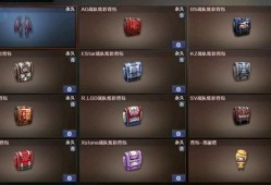 cs2战队最新爆料视频,揭秘战队神秘训练与精彩对决
